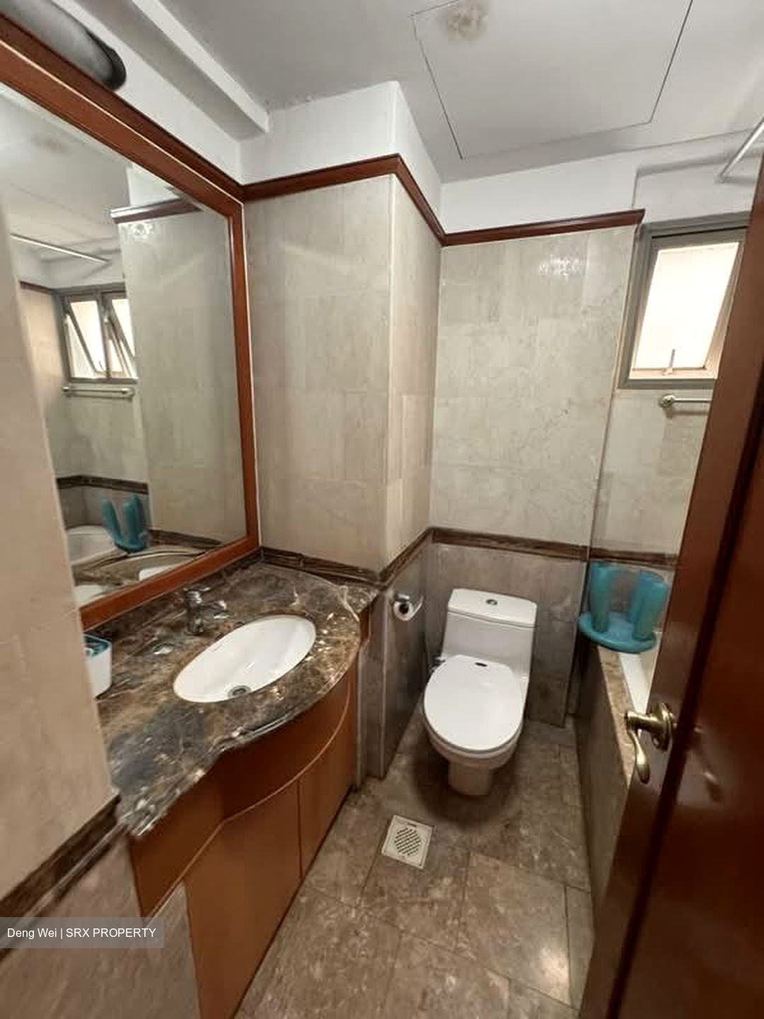 Parc Vista (D22), Condominium #588239751